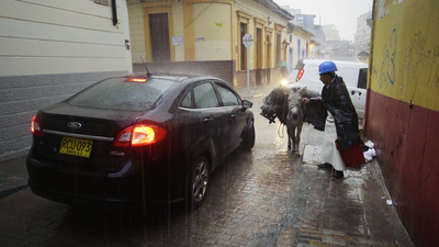 Homo Urbanus Bogotanus