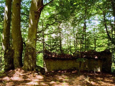 "Ecology of Ruins" von Jason Rhys Parry