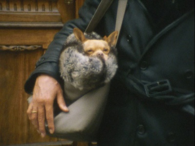 Filmstill 8.-9.12.2020 – © Antonia de la Luz Kašik Filmstill 8.-9.12.2020