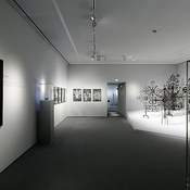 Museum im Palais