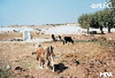 © Foto: Zita Oberwalder