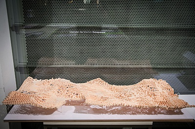 raggam_photography_MG_1389