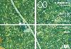 www.BildHDA_00.jpg