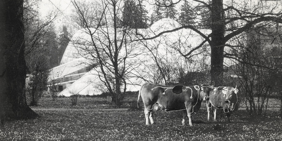 © Fotomontage Džubur / Schepe nach Fotos von Giencke und Frey
