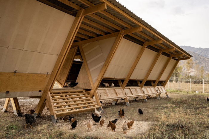 House of Chickens, Erzincan