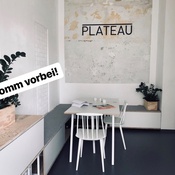 © PLATEAU